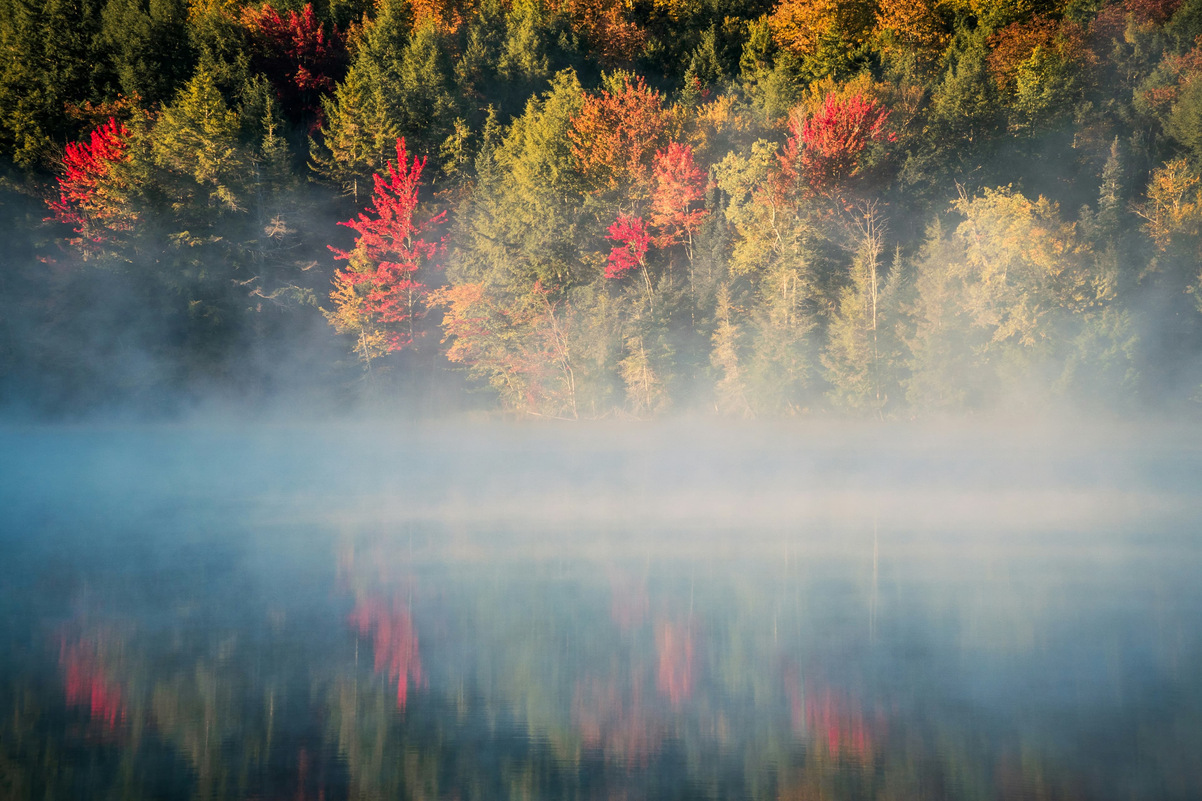 Foggy Morning